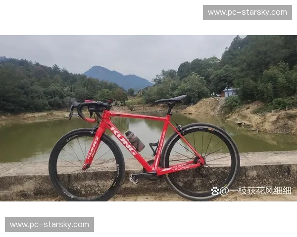 公路车VAR：速度、品味与生活方式的选择